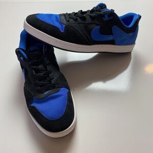 Nike SB Alleyoop Sneakers - Blue/Black/White - CJ0882-004 - Men: SIZE 13 Royal